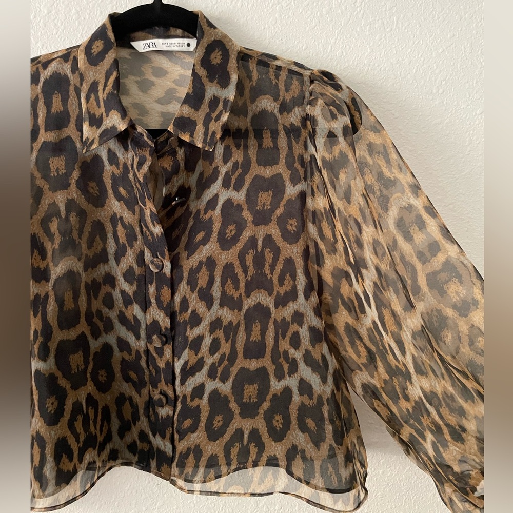 Zara: cropped leopard blouse